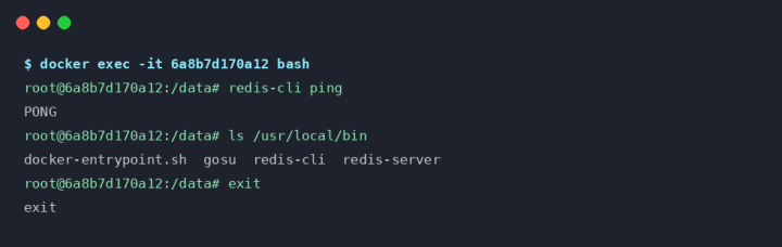 docker exec interactive shell bash
