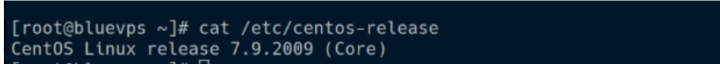 Check CentOS Version Using the cat