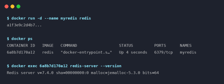 docker exec command output terminal